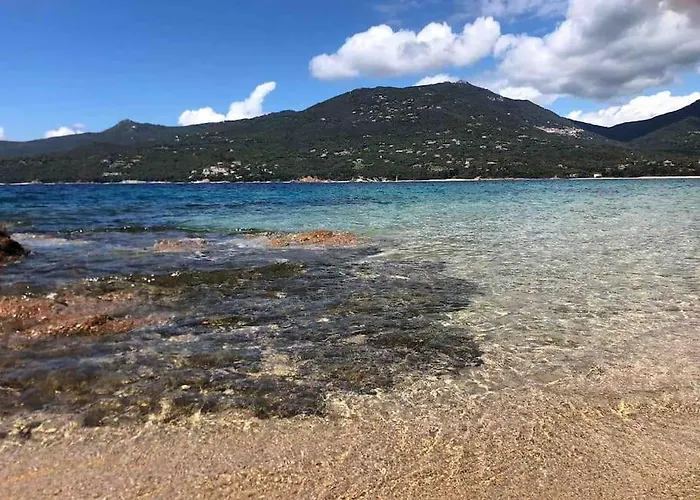 Studio Raffine Vue Mer - Propriano - Corse Du Sud