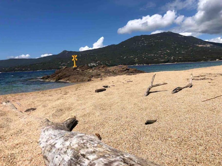 Raffine Vue - Propriano - Corse Du Sud Propriano (Corsica)