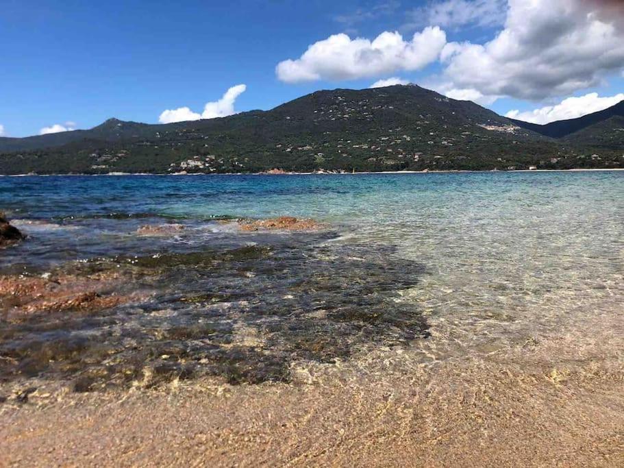 Apartment Raffine Vue - Propriano - Corse Du Sud Propriano (Corsica)