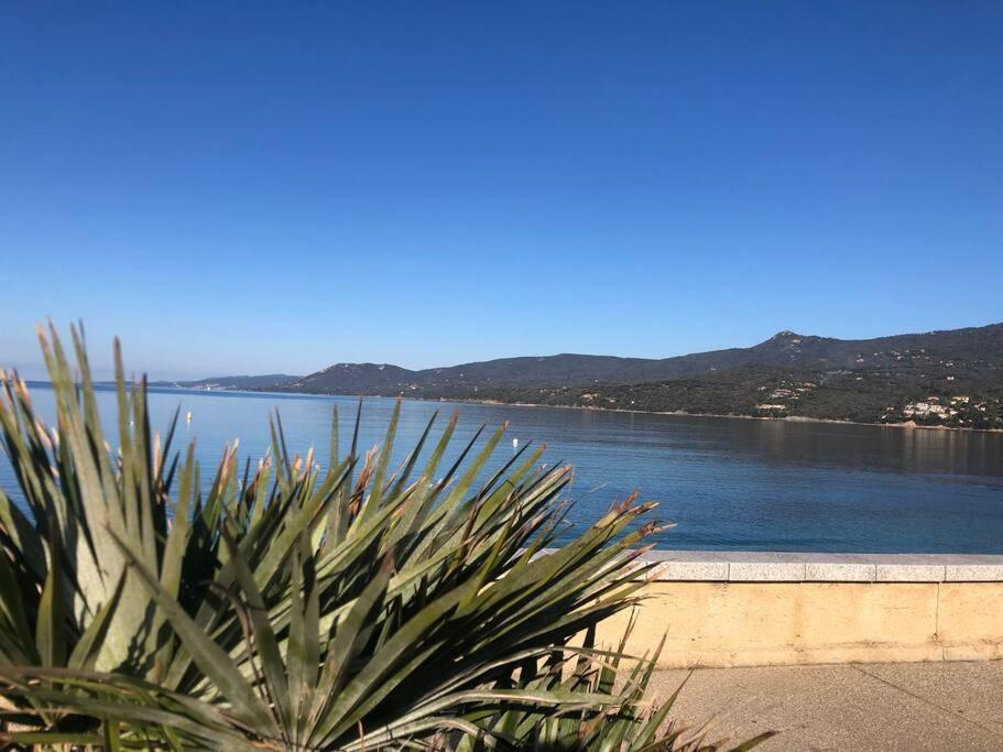 Apartment Raffine Vue - Propriano - Corse Du Sud